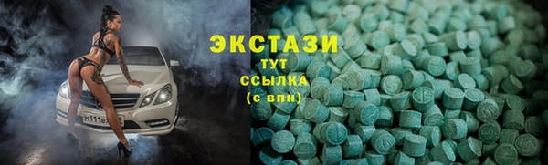 гидра Краснослободск