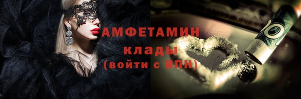 гидра Краснослободск