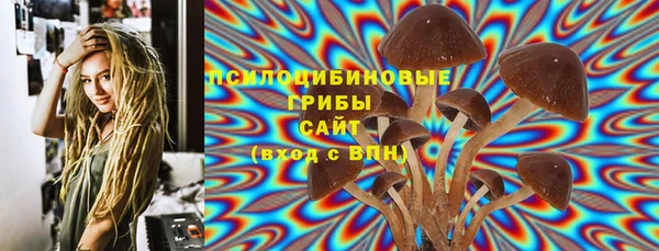 гидра Краснослободск