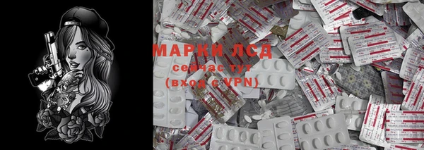 гидра Краснослободск