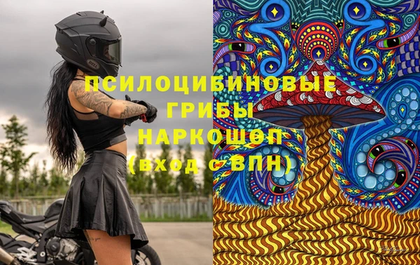 гидра Краснослободск