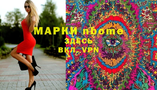 гидра Краснослободск