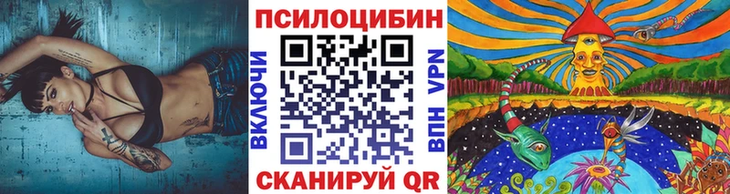 Псилоцибиновые грибы GOLDEN TEACHER  Купить где  Избербаш 