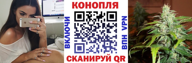 Купить где  Избербаш  Каннабис White Widow 